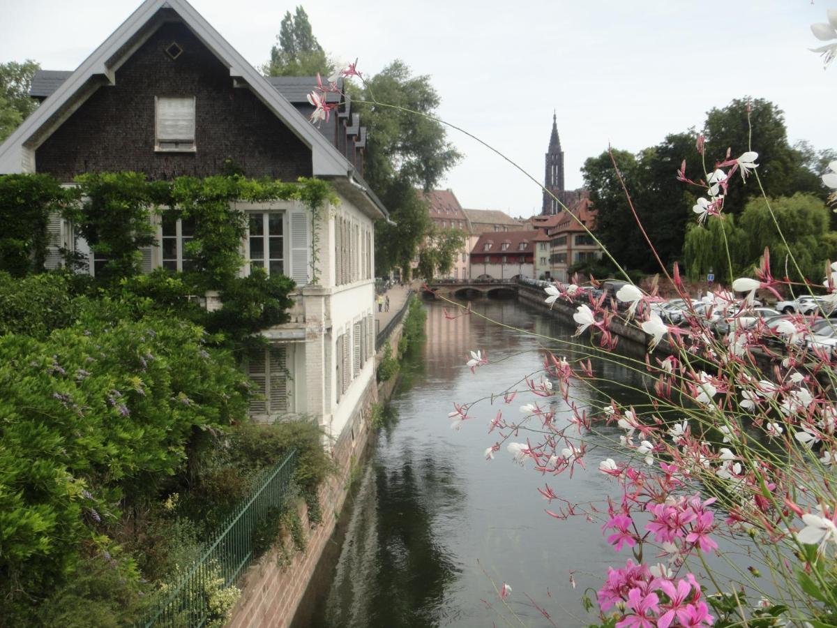 Gite Le Petit Moulin Rosenwiller 外观 照片