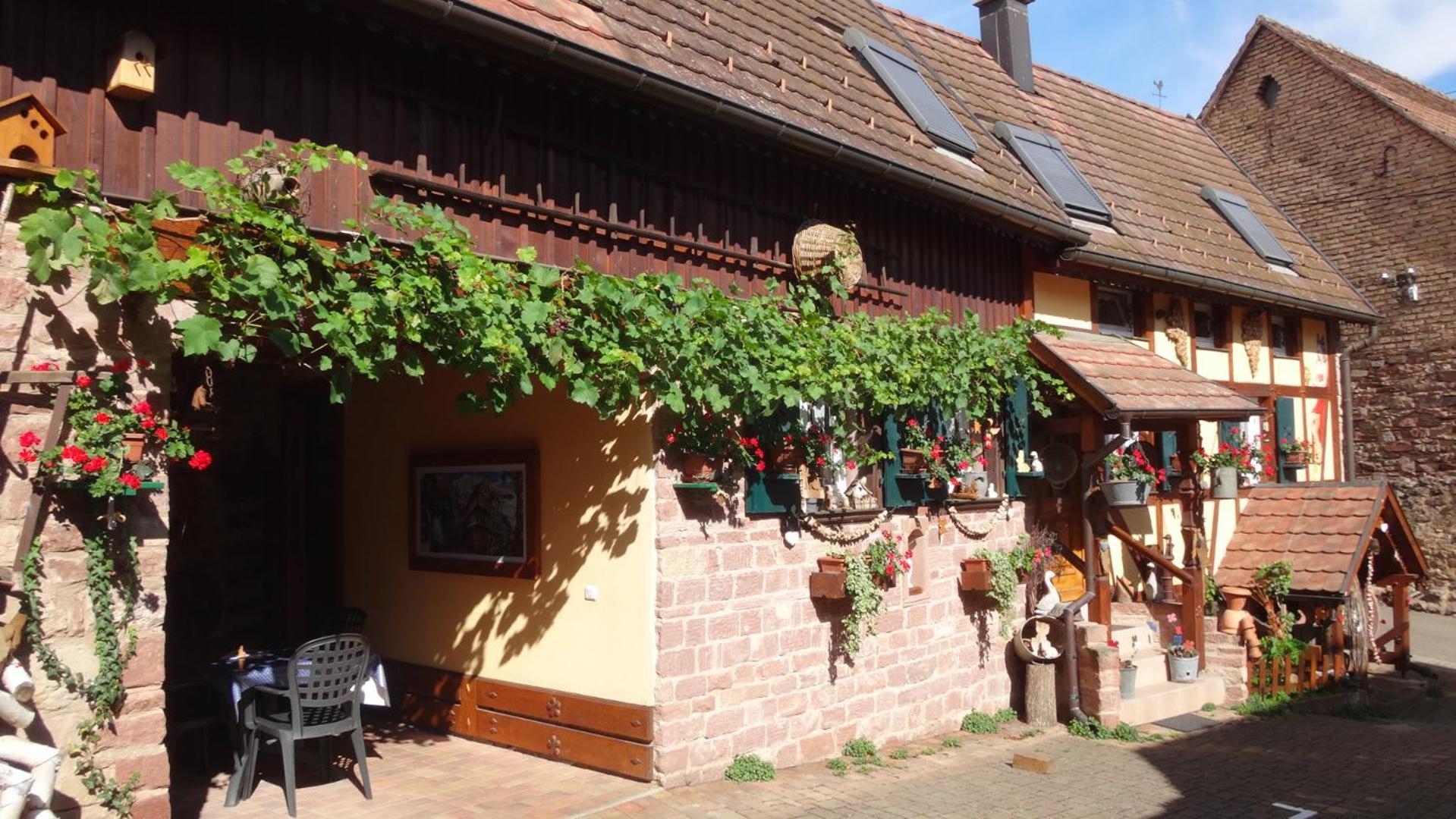 Gite Le Petit Moulin Rosenwiller 外观 照片