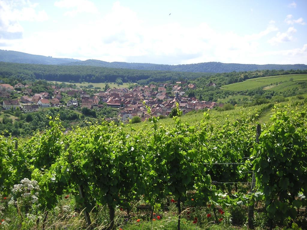 Gite Le Petit Moulin Rosenwiller 外观 照片