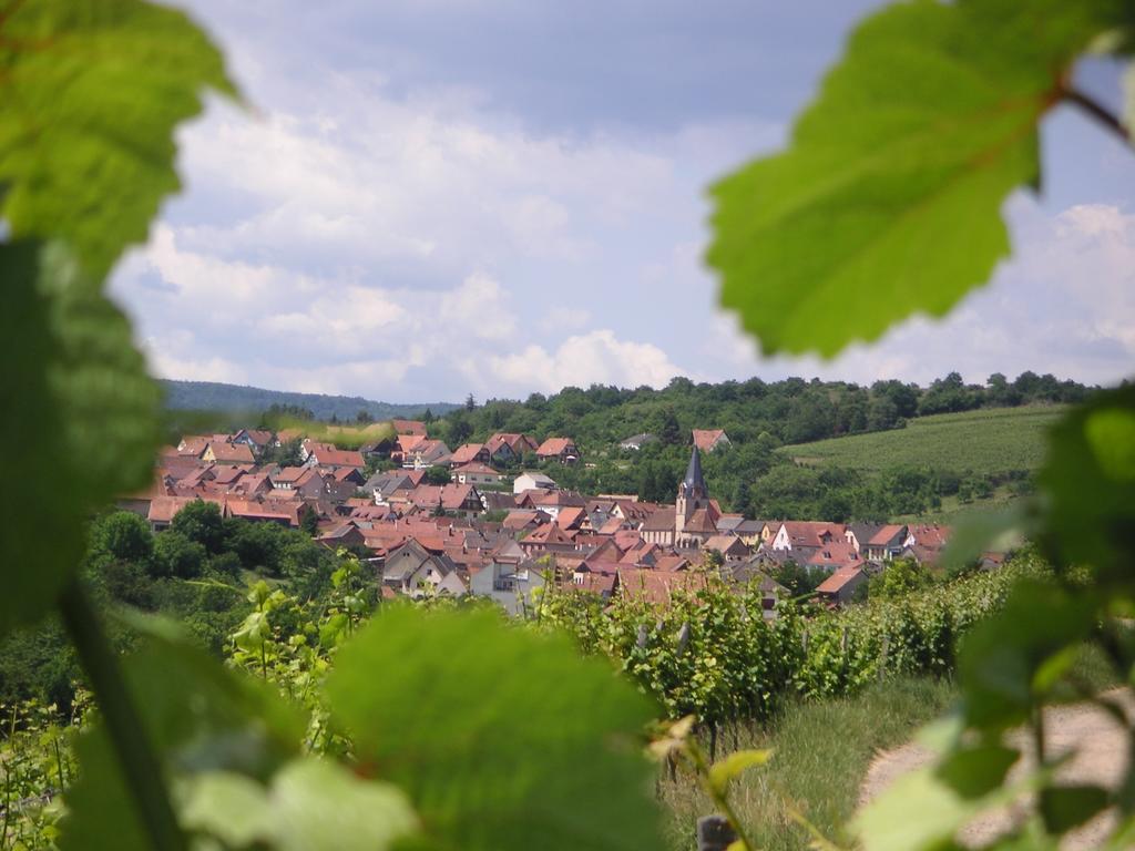 Gite Le Petit Moulin Rosenwiller 外观 照片
