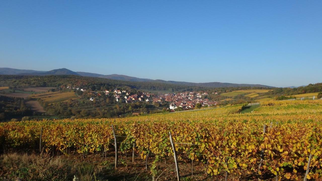 Gite Le Petit Moulin Rosenwiller 外观 照片
