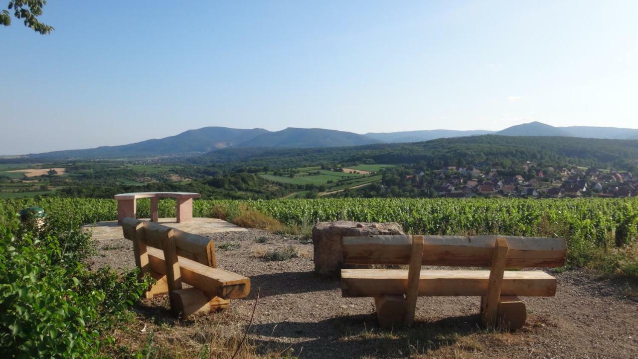 Gite Le Petit Moulin Rosenwiller 外观 照片