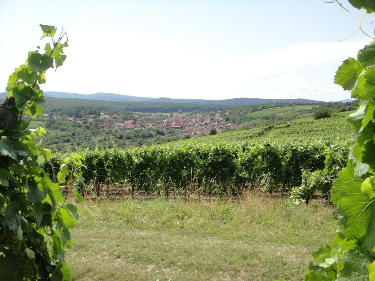 Gite Le Petit Moulin Rosenwiller 外观 照片