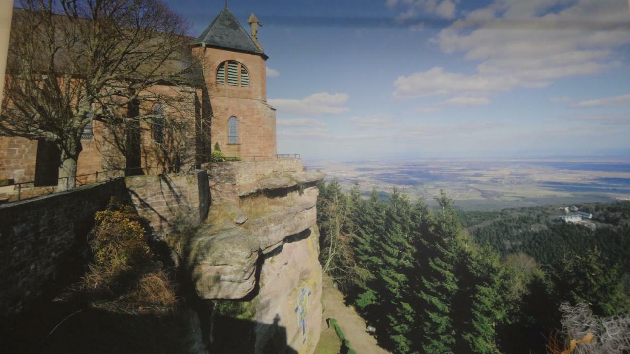 Gite Le Petit Moulin Rosenwiller 外观 照片